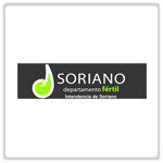 logo soriano